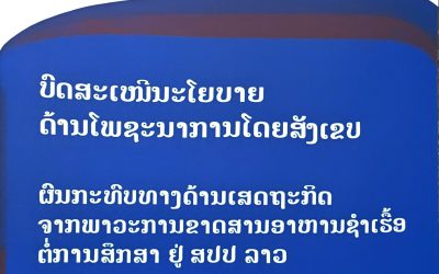 ບົດສະເຫນີດ້ານນະໂຍບາຍໂດຍສັງເຂບ ຜົນກະທົບທາງດ້ານເສດຖະກິດ